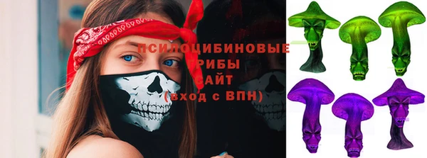 прущая мука Верея