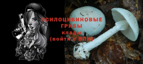 мескалин Верхний Тагил