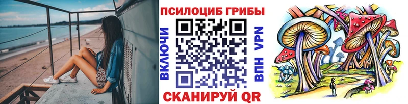 блэк спрут как войти  Норильск  Псилоцибиновые грибы GOLDEN TEACHER 